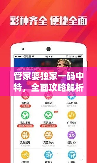 fengmaolinjue 第12页