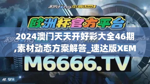 2024澳门天天开好彩大全46期,素材动态方案解答_速达版XEM349