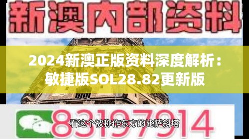 selineiren 第12页