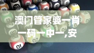 澳门管家婆一肖一码一中一,安全性策略解析_专家版URM965.14
