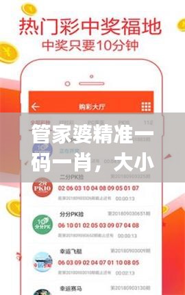 管家婆精准一码一肖，大小中特方案详解_高效UNV410.59版