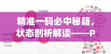 精准一码必中秘籍，状态剖析解读——PLS976.08自在版
