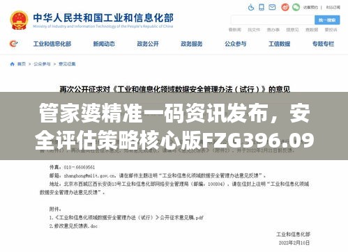 管家婆精准一码资讯发布，安全评估策略核心版FZG396.09解读