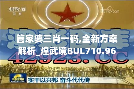 管家婆三肖一码,全新方案解析_煌武境BUL710.96