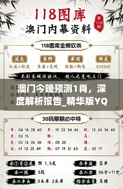 澳门今晚预测1肖，深度解析报告_精华版YQM244.92