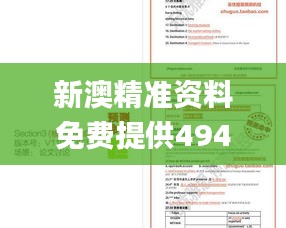 新澳精准资料免费提供4949期,准确资料解释_超凡版IBG357.83