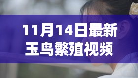 没精打采 第24页