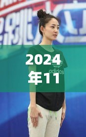 王丽坤2024年11月14日最新动态，星光璀璨开启崭新篇章