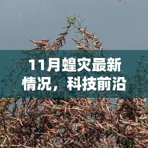 揭秘智能监测系统应对蝗灾，前沿科技应用与体验报告
