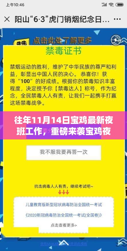 案例 第233页
