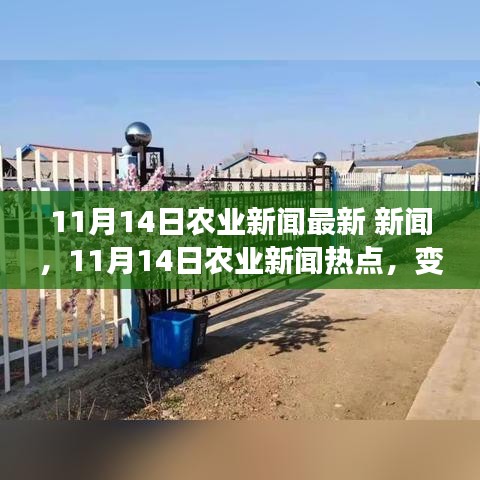 花开无言 第20页