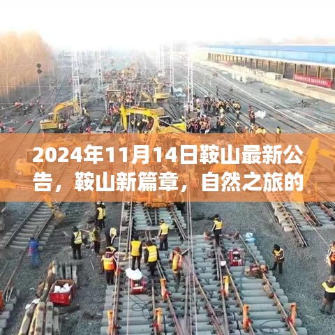 商品分类 第239页