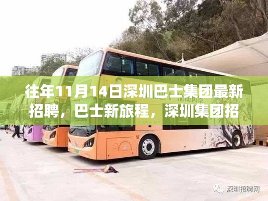 条款 第243页