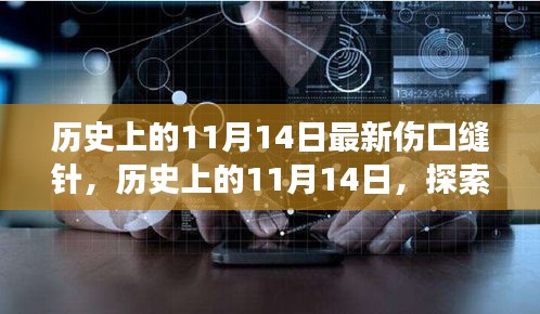 条款 第241页