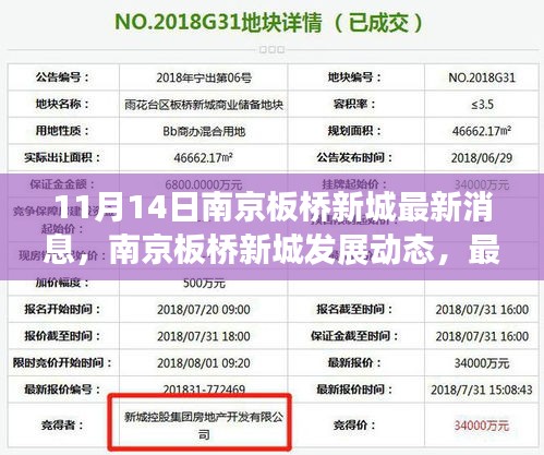 初告白 第21页
