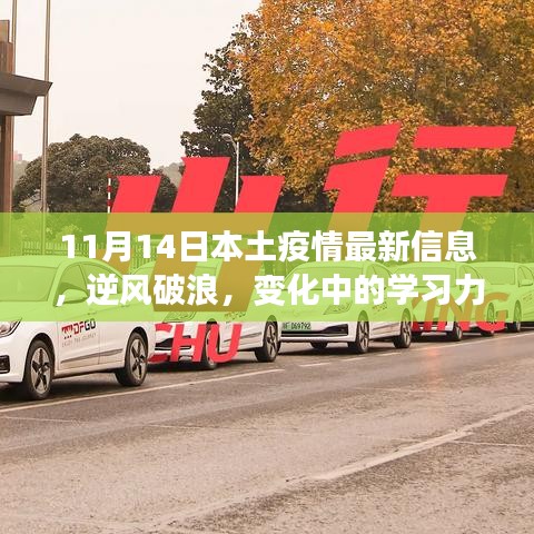 11月14日疫情下本土积极变化与自我成长，逆风破浪中的学习力量