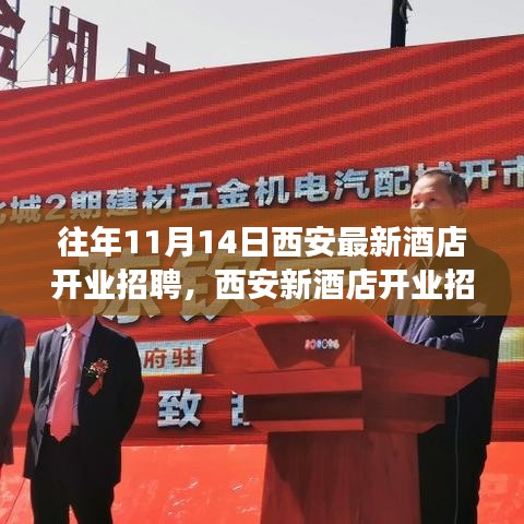 条款 第239页