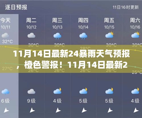 风驰电掣 第25页