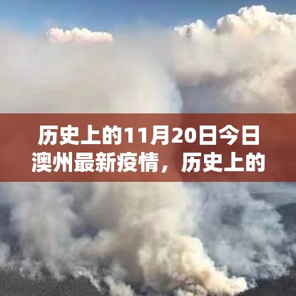 商品分类 第230页