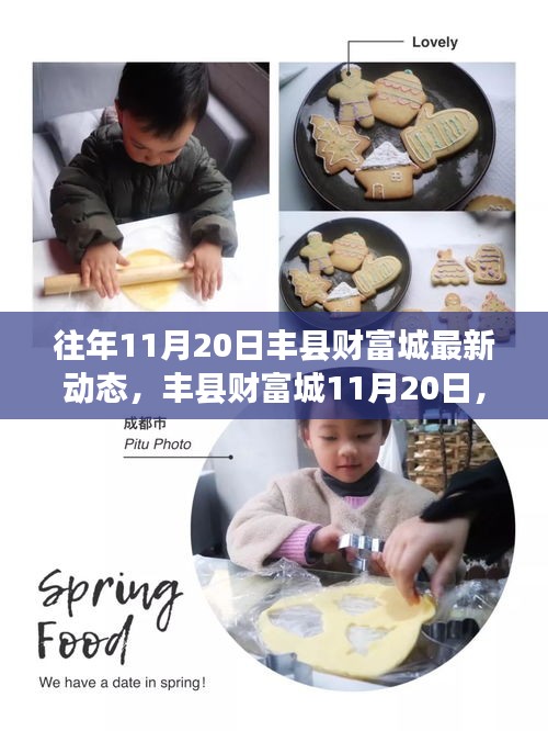 案例 第222页