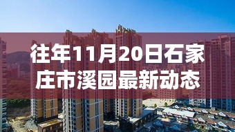 石家庄市溪园最新动态获取指南，往年11月20日最新动态速递（初学者与进阶用户适用）