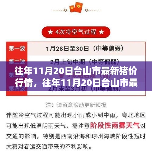 往年11月20日台山市猪价行情深度解析与观点阐述，最新行情分析与解读