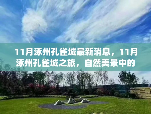 心急如焚 第19页