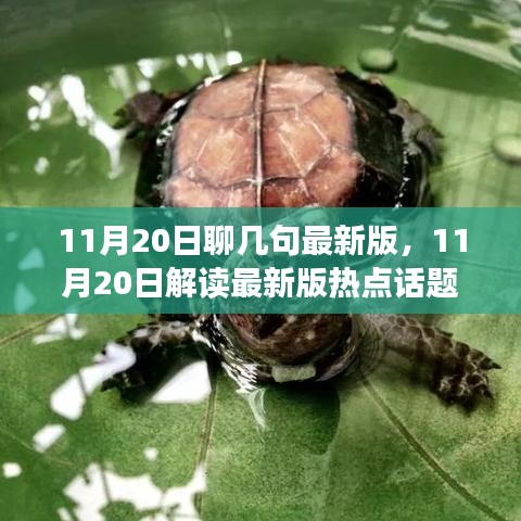 风驰电掣 第23页