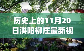 洪阳柳庄最新视频揭秘，历史价值与文化解读探寻之路