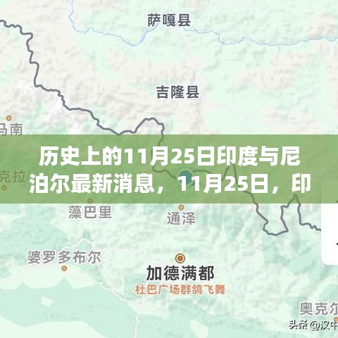 九死一生 第17页