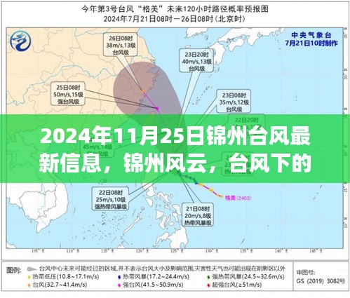 台风下的温情日常，锦州风云最新消息