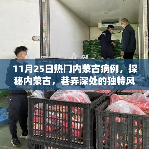 条款 第210页