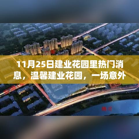 走马观花 第17页
