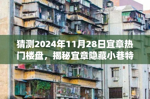容光焕发 第14页