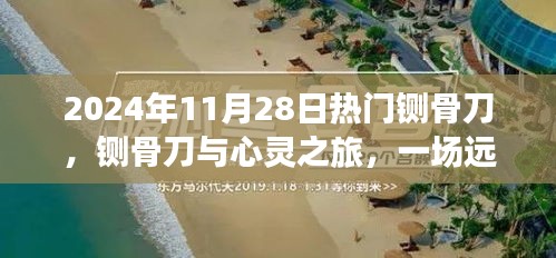 产品 第216页