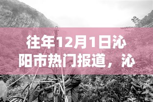 沁阳市隐藏小巷深处的特色小店，岁月中的惊喜