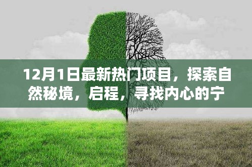 回眸最初 第14页