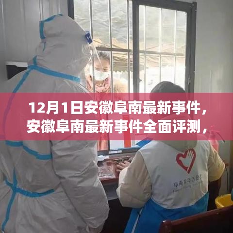 安徽阜南最新事件深度解析，特性、使用体验与目标用户群体全面评测