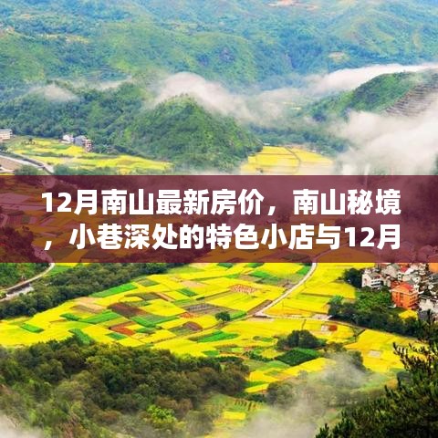 南山秘境小巷特色与最新房价探秘