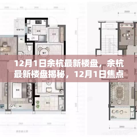 12月1日余杭最新楼盘焦点解析，揭秘最新楼盘动态
