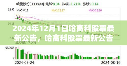 哈高科股票最新公告深度解析，产品特性、用户体验与目标用户群体分析（2024年12月版）