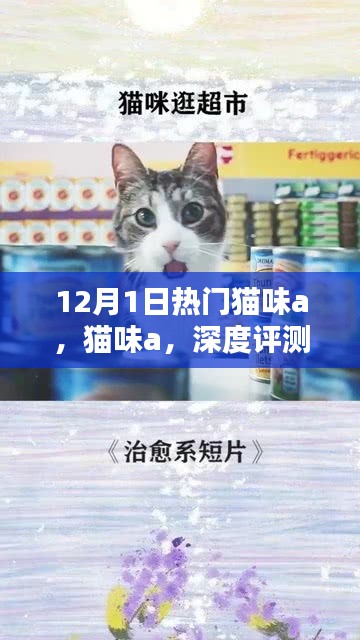 花开无言 第10页