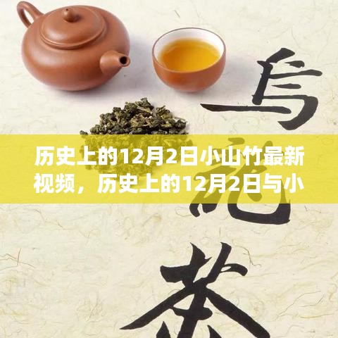 历史上的12月2日与小山竹最新视频，文化与科技的完美交融之夜