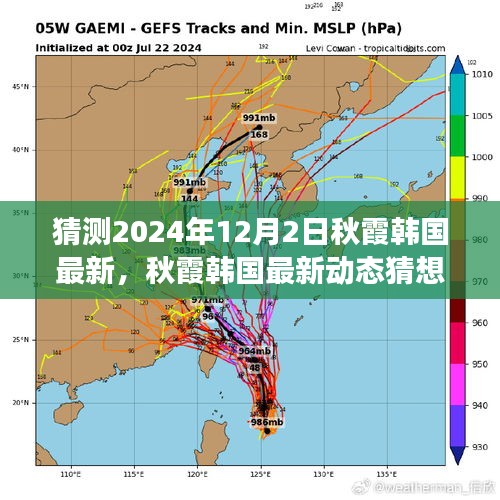 走马观花 第11页