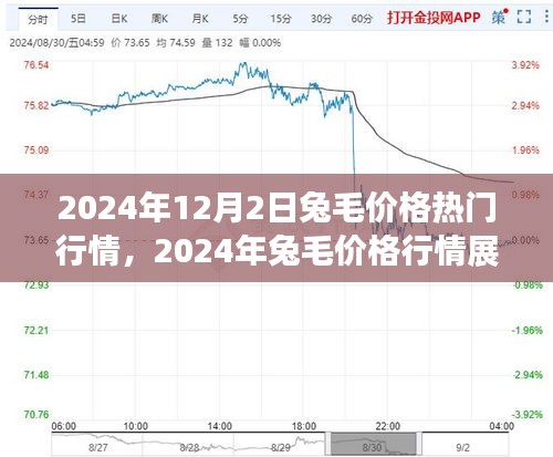 2024年兔毛价格行情展望与市场动态解析