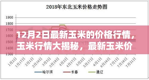 走马观花 第10页