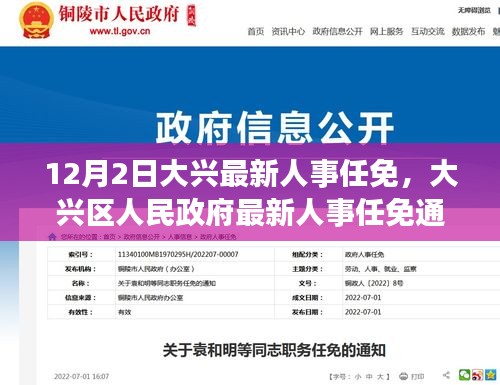 大兴区人民政府人事任免通知，最新人事调整动态发布（12月2日）