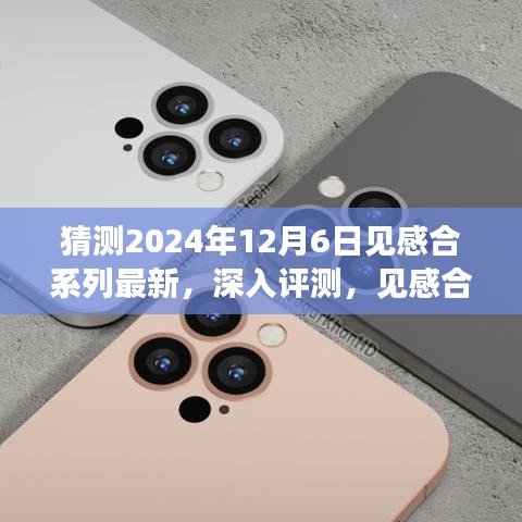 2024年12月6日见感合系列新品深度评测与展望