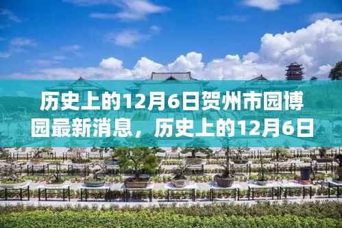 历史上的12月6日贺州市园博园之旅，探寻自然美景，重塑心灵宁静的最新消息