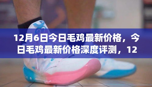 12月6日毛鸡最新价格深度解析，市场观察与全方位解读